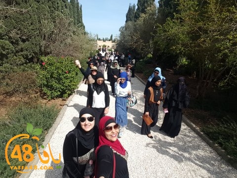 re7la shamal tamer (49).jpg